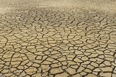 dry-4282884_960_720.jpg