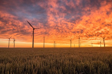 windmills-gcfe29c6e4_1920.jpg