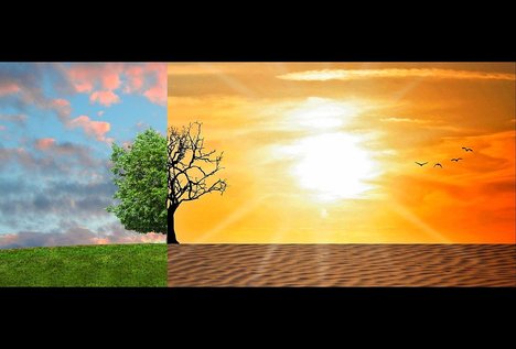 climate-change-g1acbb1e08_1280.jpg